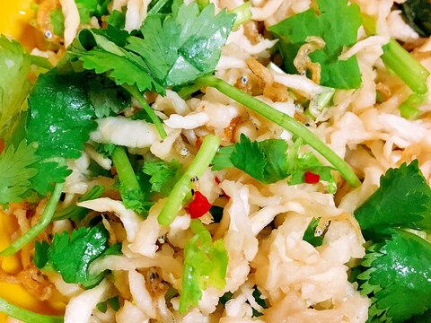 タイ風おかず★切り干し大根のパクチー和え